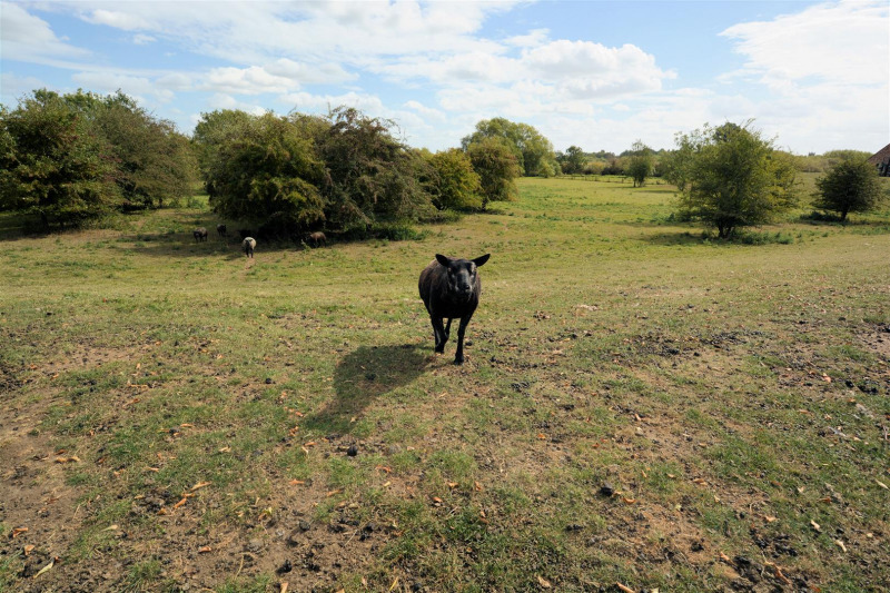 Property photo: workshop land.jpg