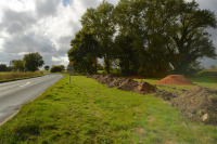 DSC_0173.JPG