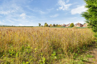 Image #15 for Brackenhill Avenue, Brayton