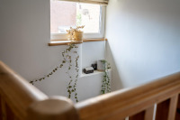 12-_DSC0775-HDR.jpg