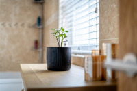 Image #23 for Station Road, Wistow, Selby